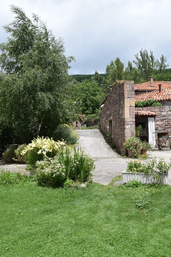 Casa Miguel Διαμέρισμα Olea Εξωτερικό φωτογραφία