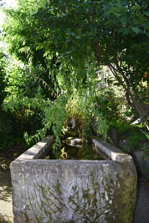 Casa Miguel Διαμέρισμα Olea Εξωτερικό φωτογραφία